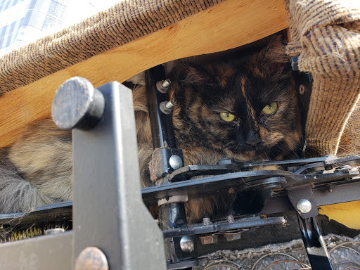 Waste Management Service «Junk Genius», reviews and photos