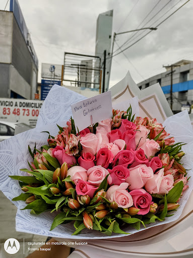 Floreria Baupal (sucursal guadalupe) – Guadalupe