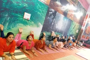 Nisha Joshi Yoga Academy (NJYA) image