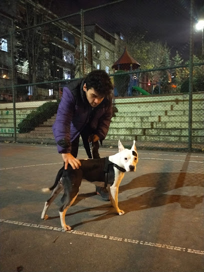 Köpek Eğitmeni Emre Turan Ataköy Bakırköy Köpek egitimi
