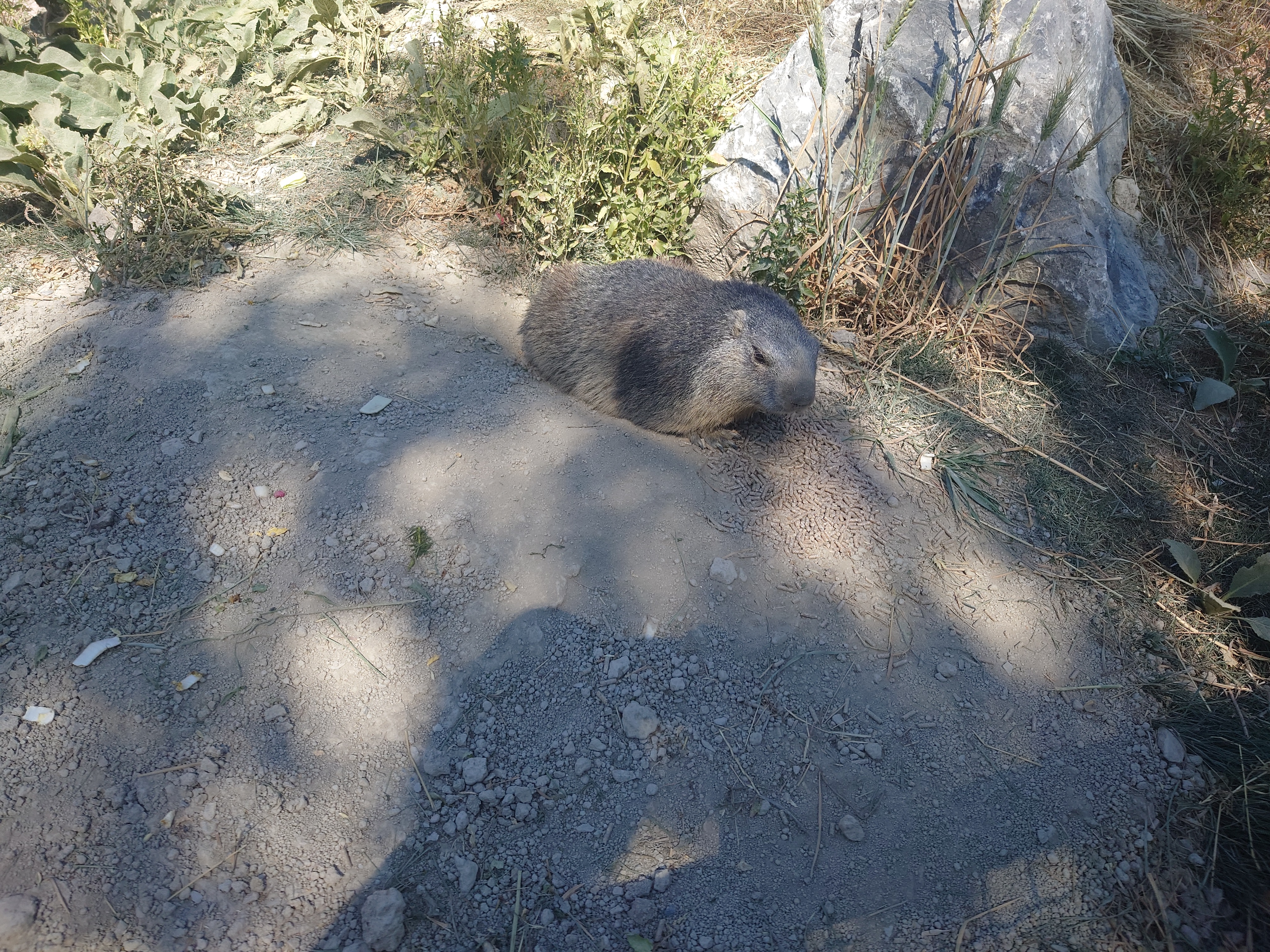 Photo n° 3 de l'avis de fabien.a fait le 24/08/2023 à 06:40