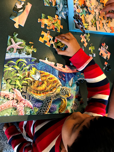 Book Store «Barnes & Noble Bookstores», reviews and photos, 2325 S Stemmons Fwy #401, Lewisville, TX 75067, USA