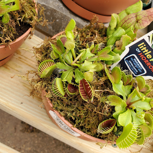 Garden Center «Merrifield Garden Center», reviews and photos, 12101 Lee Hwy, Fairfax, VA 22030, USA