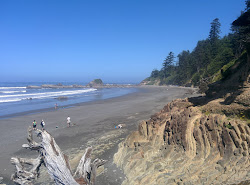 Foto de Ruby Beach com muito limpo nível de limpeza