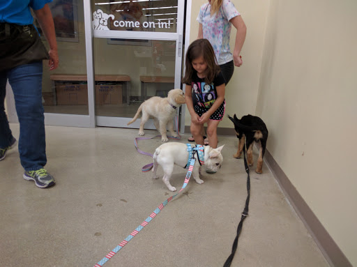 Pet Supply Store «Petco», reviews and photos, 49 W Rand Rd, Arlington Heights, IL 60004, USA