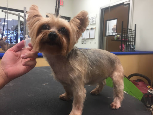 Pet Supply Store «Petsense Foley», reviews and photos, 2139 S McKenzie St, Foley, AL 36535, USA