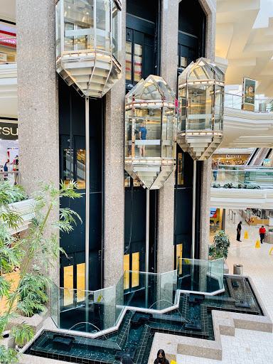 Computer Store «Apple MacArthur Center», reviews and photos, 300 Monticello Ave, Norfolk, VA 23510, USA