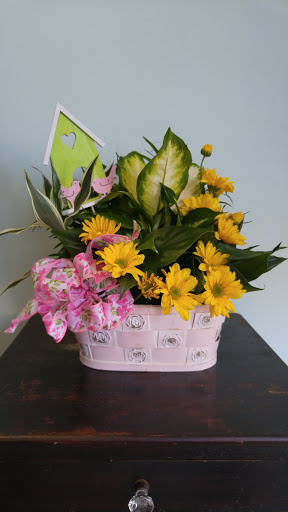 Florist «Winter Springs Florist and Gifts», reviews and photos, 1055 W State Rd 434, Winter Springs, FL 32708, USA