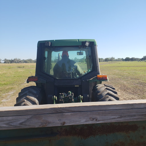 Tourist Attraction «Partin Ranch Corn Maze», reviews and photos, 5601 N Canoe Creek Rd, Kenansville, FL 34739, USA