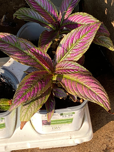 Home Improvement Store «The Home Depot», reviews and photos, 393 S Hover Rd, Longmont, CO 80501, USA