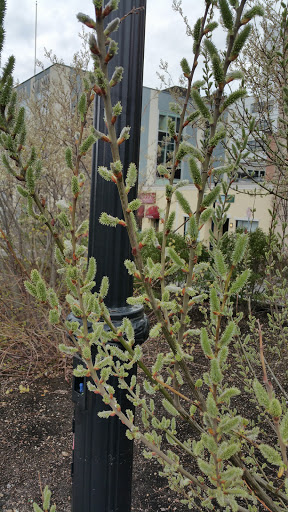 Park «Van Der Donck Park», reviews and photos, 41 Dock St, Yonkers, NY 10701, USA