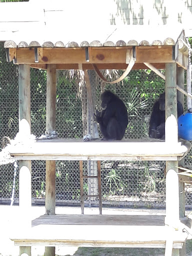 Park «Lowry Park», reviews and photos, 7525 North Blvd, Tampa, FL 33604, USA