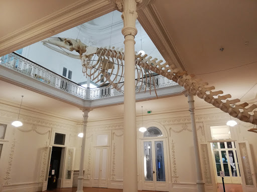 Galeria da Biodiversidade - Centro Ciência Viva | Museu de História Natural e da Ciência da U.Porto
