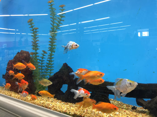 Pet Supply Store «Petco Animal Supplies», reviews and photos, 1540 Eastern Blvd, Montgomery, AL 36117, USA