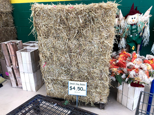 Produce Market «Produce Junction Inc», reviews and photos, 272 Pottstown Pike, Exton, PA 19341, USA