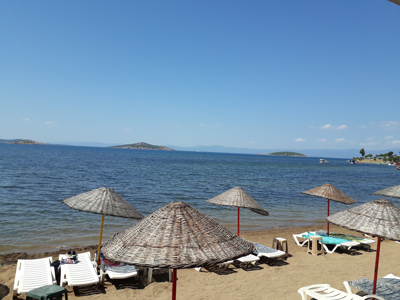 Photo of Ayvalik beach II with very clean level of cleanliness