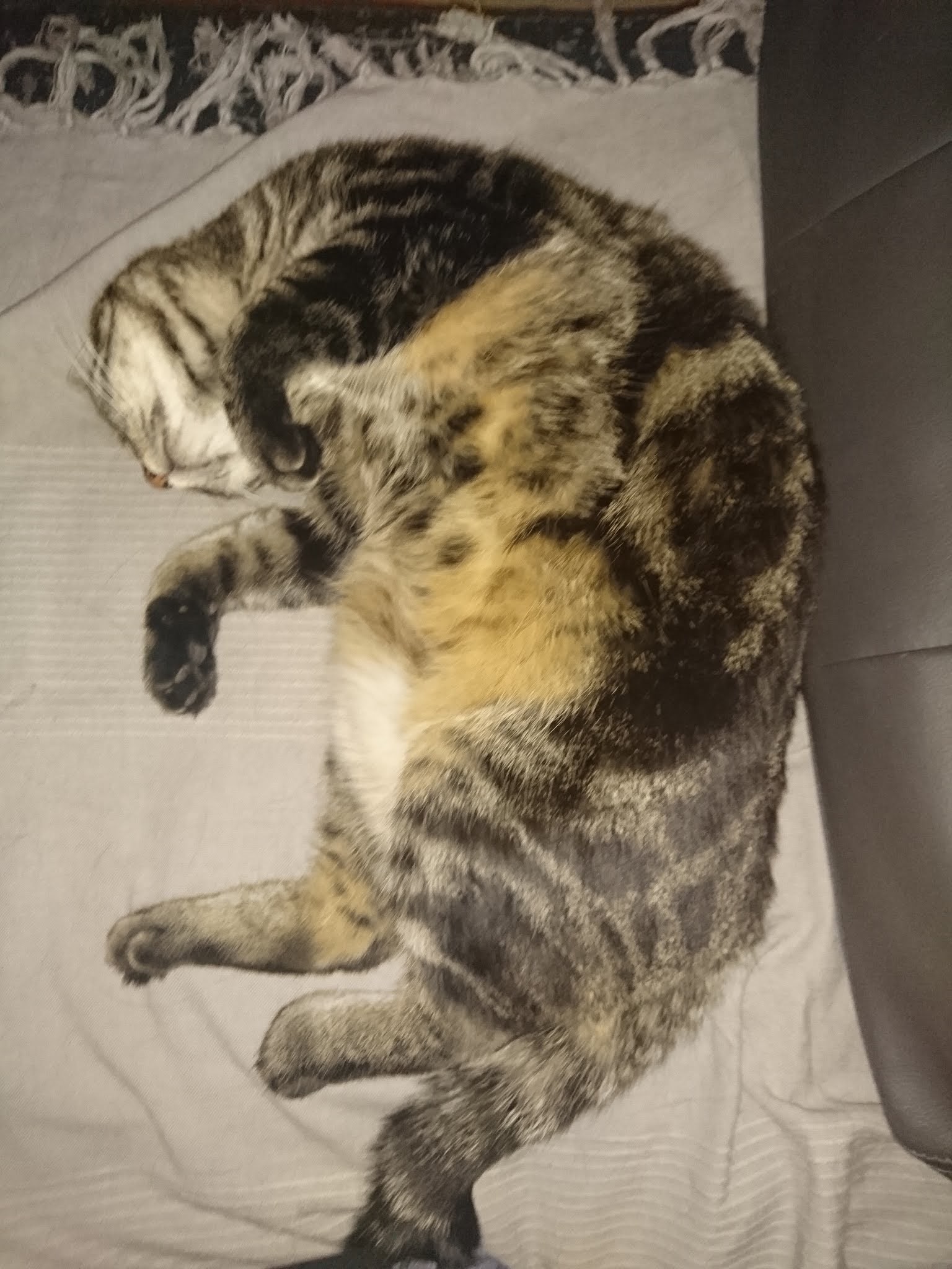 Photo n° 2 de l'avis de Erika. fait le 14/11/2018 à 15:52
