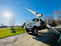 All American Tree Care, LLC - Photo 3 - Car repair in Elyria, OH, Lorain