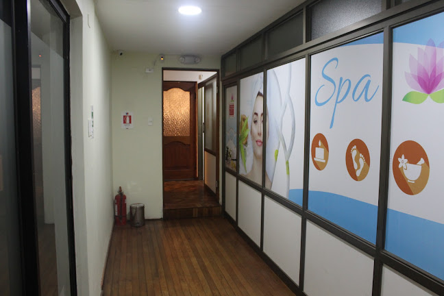 Teléfono de Dentistas en Chillán BigSmile