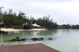 Calodyne Public Beach image