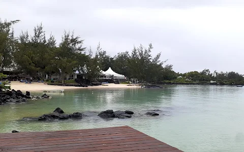 Calodyne Public Beach image