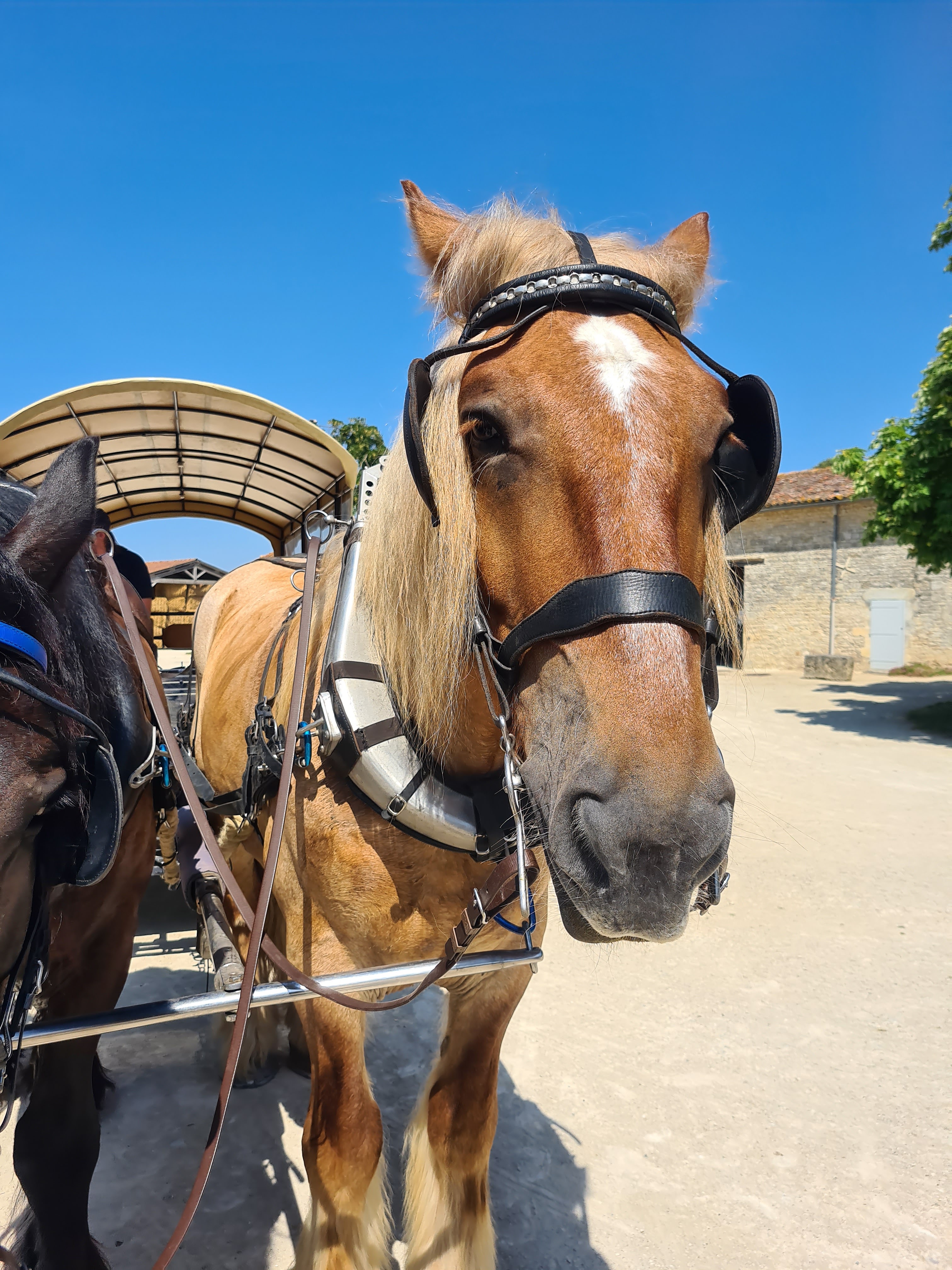 Photo n° 1 de l'avis de Sam.a fait le 08/07/2023 à 20:46