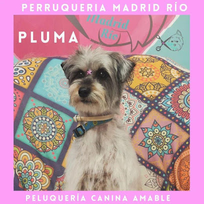 Peluquería Canina Amable Perruqueria Madrid Río - Servicios para mascota en Madrid