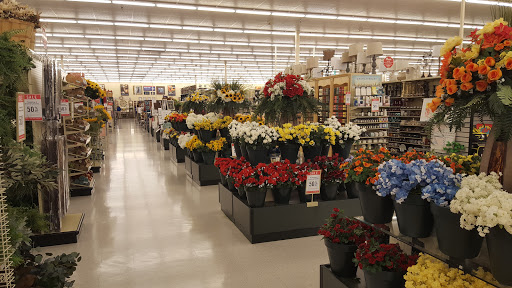 Craft Store «Hobby Lobby», reviews and photos, 14645 Hancock Village St, Chesterfield, VA 23832, USA