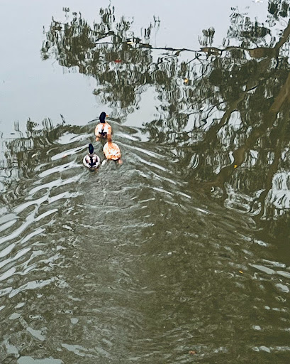 Vasona Lake County Park image