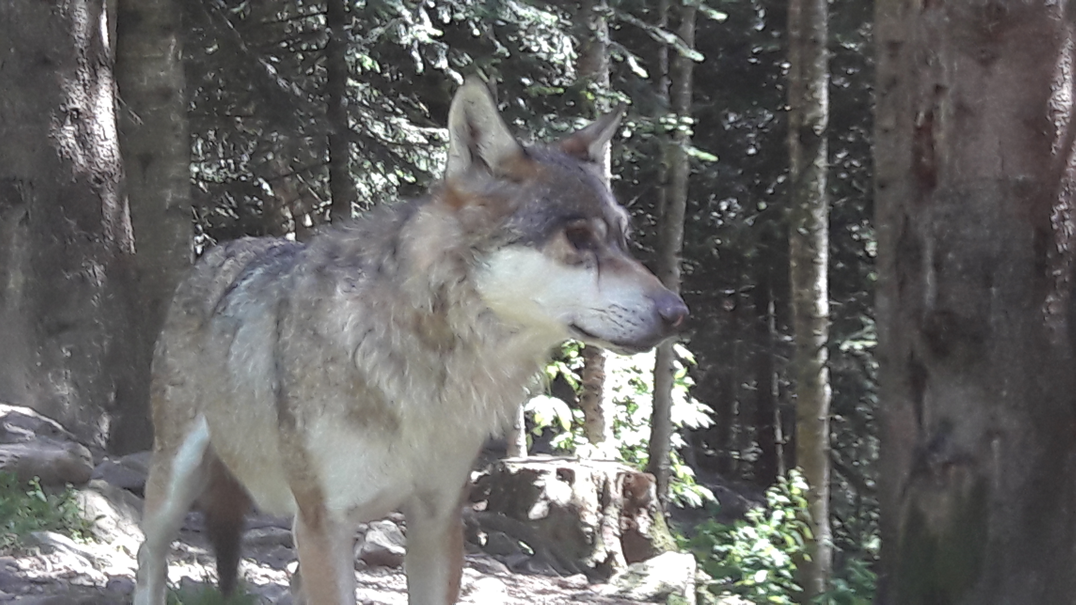 Photo n° 11 de l'avis de Ambre.h fait le 05/03/2017 à 01:43