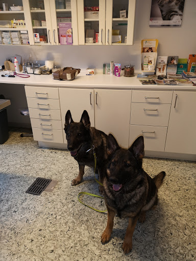 Tierarztpraxis Olschowy unter Mettmann, Nordrhein-Westfalen