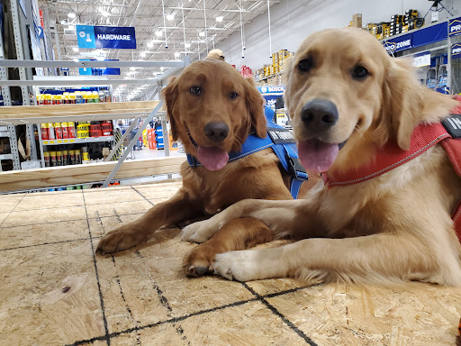 Dog Trainer «Off Leash K9 Training, Charlottesville», reviews and photos, 8782 Seminole Trail, Ruckersville, VA 22968, USA