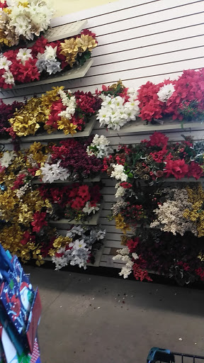 Dollar Store «Dollar Tree», reviews and photos, 2704 E Burleigh Blvd, Eustis, FL 32726, USA