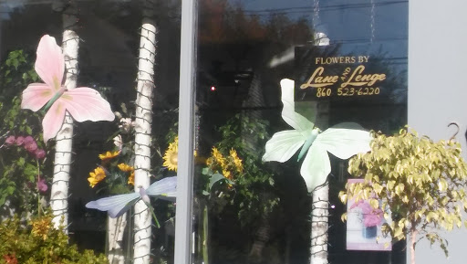 Florist «Lane & Lenge Florists, Inc», reviews and photos, 214 Park Rd, West Hartford, CT 06119, USA