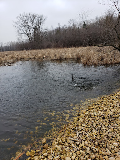 Park «Tony Schmidt Regional Park», reviews and photos, 3500 Lake Johanna Blvd, Arden Hills, MN 55112, USA