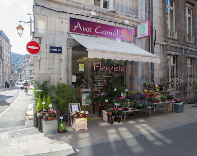 Aux Camélias Fleuriste à Besançon