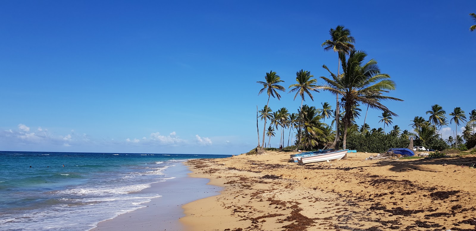 Playa Lava Cama'in fotoğrafı doğal alan içinde bulunmaktadır
