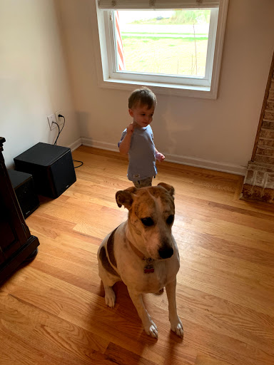 Dog Trainer «K9 Penn Dog Training Services», reviews and photos, 475 Sandy Ln, Surfside Beach, SC 29575, USA