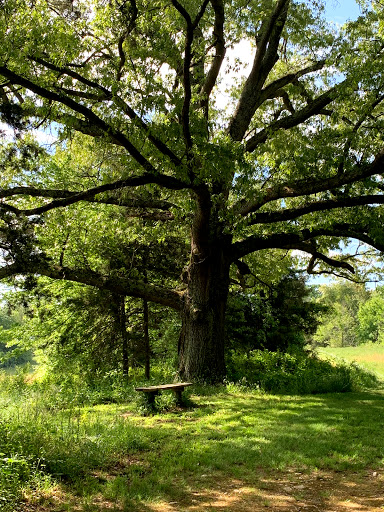 Tourist Attraction «Cedar Mountain Battlefield», reviews and photos, 9465 General Winder Rd, Rapidan, VA 22733, USA