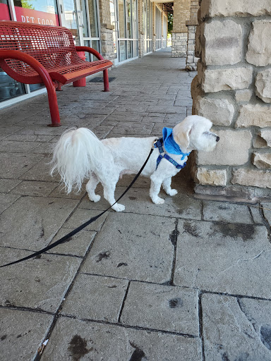 Pet Supply Store «Brown Dog Bakery», reviews and photos, 2310 SE Delaware Ave, Ankeny, IA 50021, USA