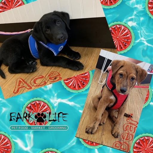 Pet Store «Bark Life Market», reviews and photos, 11220 Park Blvd N, Seminole, FL 33772, USA