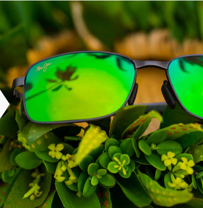 Optician «Doyle Opticians», reviews and photos, 405 Lake Cook Rd A-12, Deerfield, IL 60015, USA