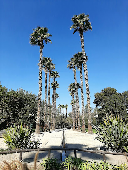 Parque Bernardo Leighton