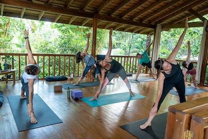 Bodhi Surf + Yoga - 750 metros sur oeste del Restaurante La Fogata, Puntarenas Province, Uvita, 60504, Costa Rica