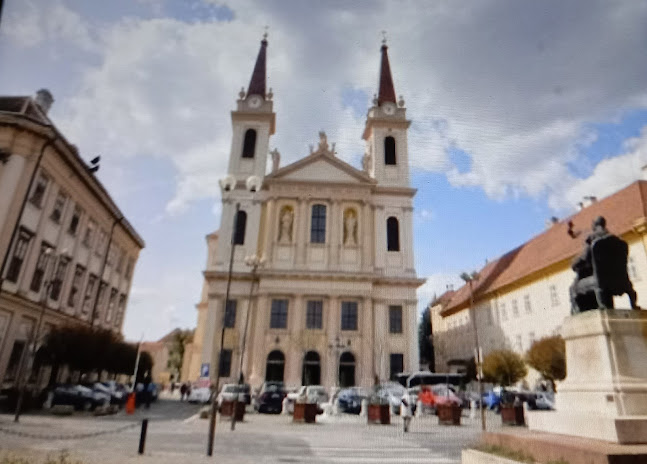 Sarlós Boldogasszony Székesegyház