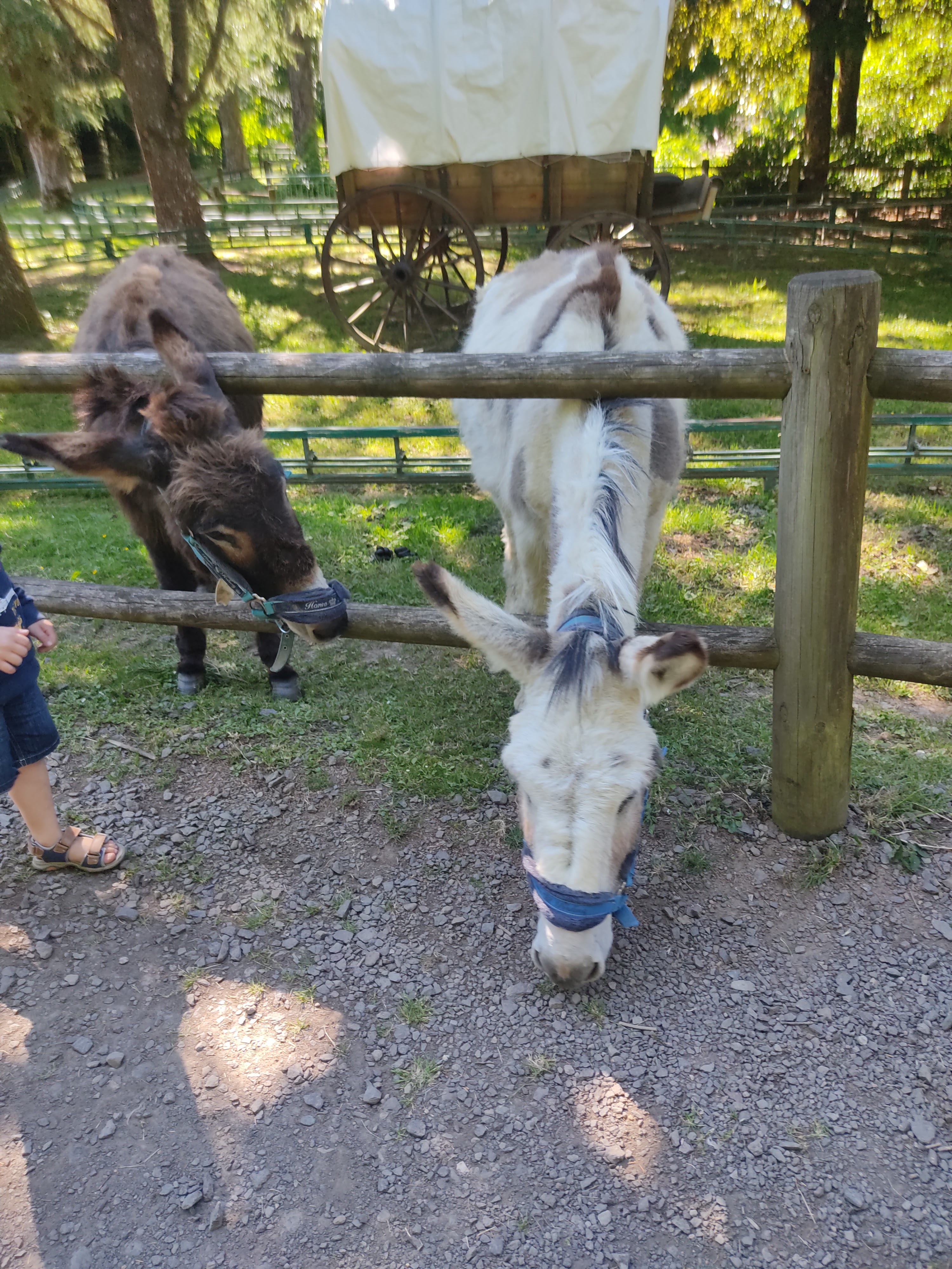 Photo n° 19 de l'avis de David.i fait le 29/05/2022 à 19:15