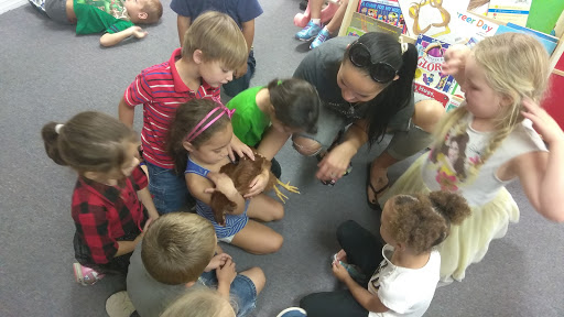 Learning Center «Little Sunshine Preschool & Learning Center», reviews and photos, 9316 Little Rd, New Port Richey, FL 34654, USA