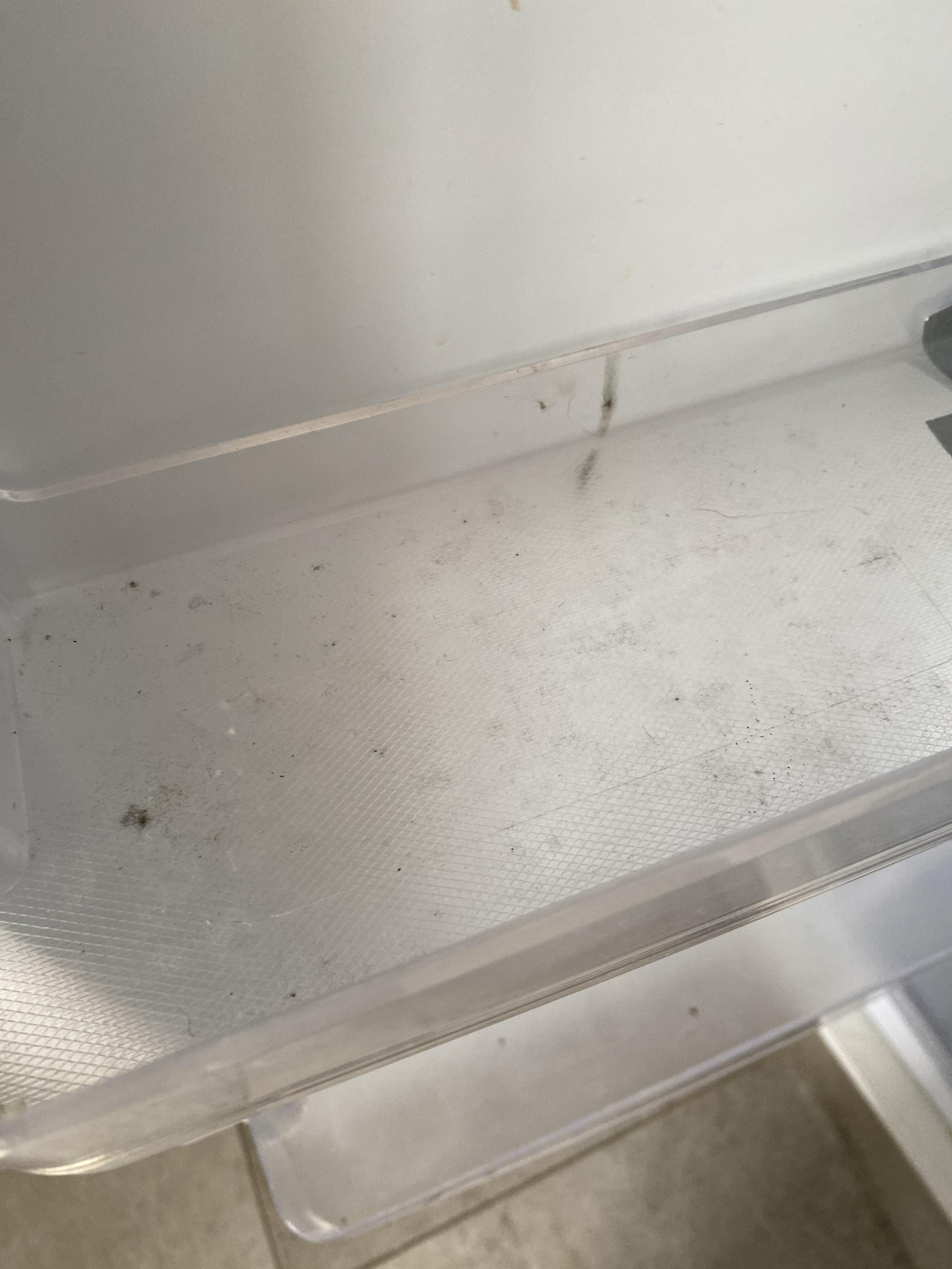 Photo n° 4 de l'avis de corinne.R fait le 18/06/2023 à 18:39