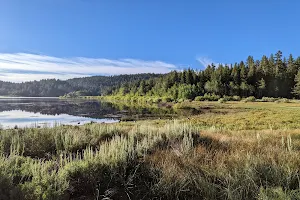 Spooner Summit Trailhead image