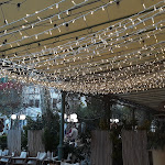 Photo n°3 de l'avis de Donatella.a fait le 26/12/2023 à 16:00 sur le  All'Antico Vinaio à Forte dei Marmi